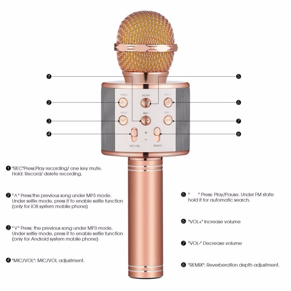 WS 858 Wireless Bluetooth Karaoke Handheld Microphone USB KTV